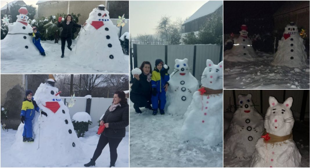 FOTO Mirjana Vrtarić s unucima Nikom i Noom stvorila čaroliju od snijega BeFunky collage 2026 01 10T142205.959