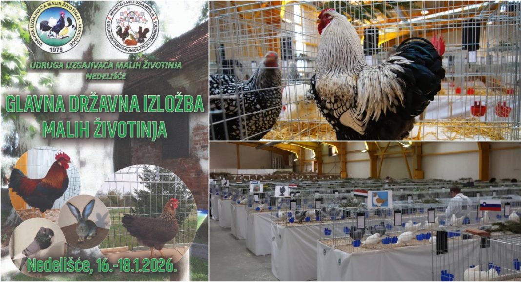 BeFunky collage 2026 01 12T080656.486