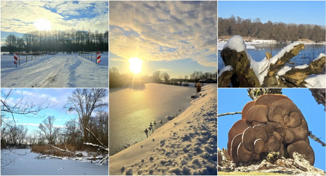 FOTO Ledena tišina uz Muru: Zvonimir Habuš u potrazi za zaboravljenim krajobrazom BeFunky collage 2026 01 12T090721.763