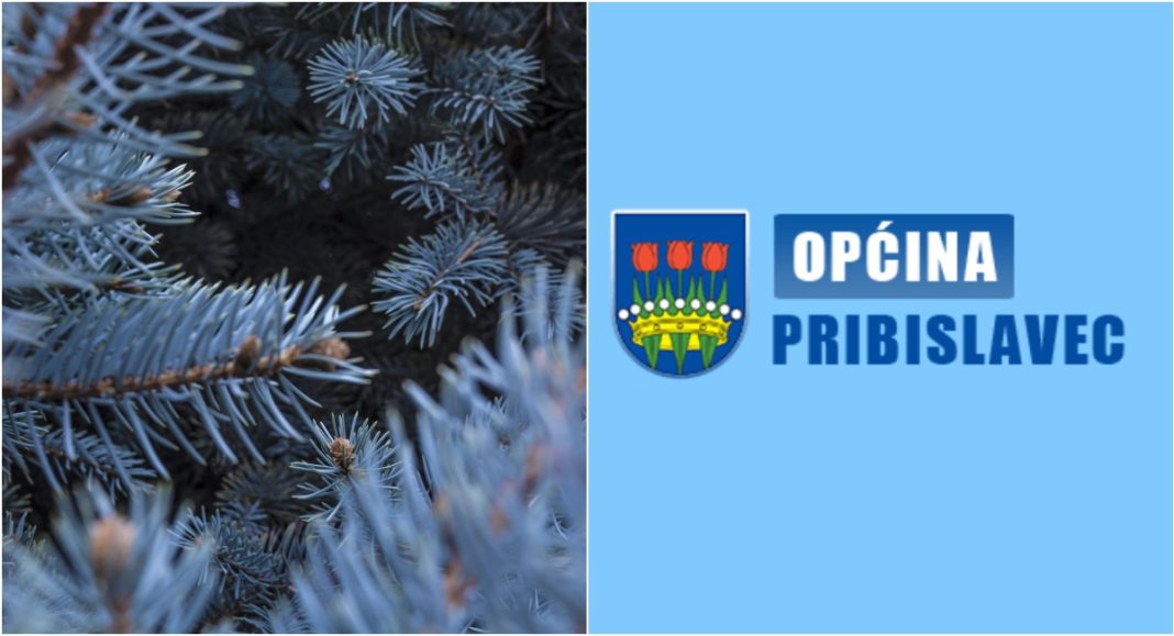 BeFunky collage 2026 01 12T102836.848