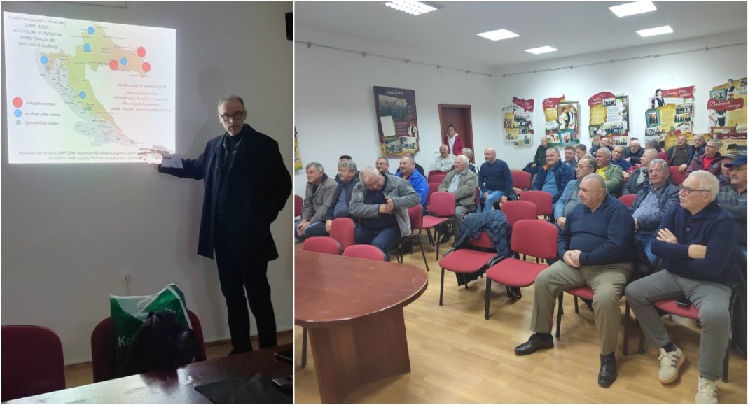 BeFunky collage 2026 01 14T121617.113