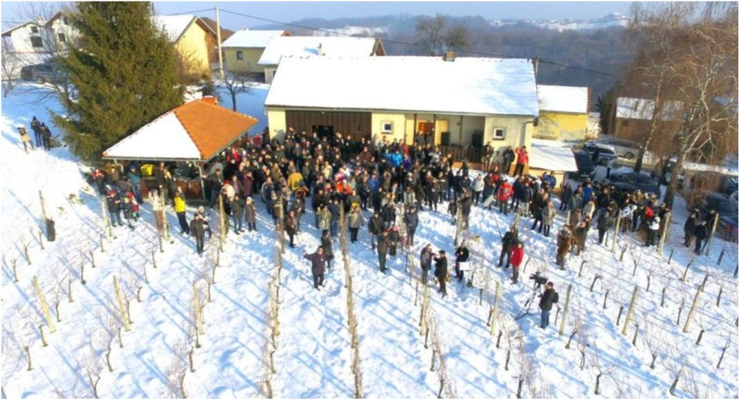 BeFunky collage 2026 01 15T093158.973