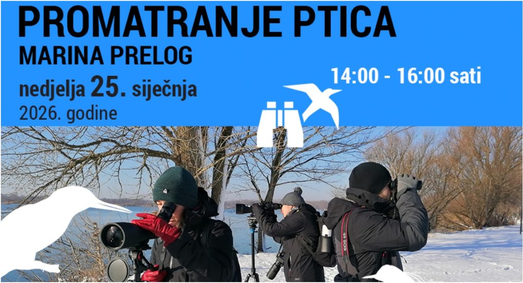 BeFunky collage 2026 01 16T130853.533