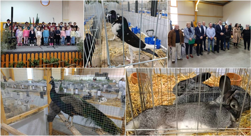 BeFunky collage 2026 01 16T155007.629