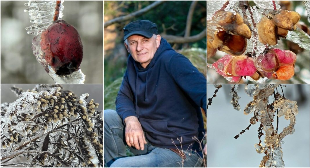 FOTO Kroz objektiv Zvonimira Habuša: sitni detalji prirode okovani ledenom zimom BeFunky collage 2026 01 17T170626.133