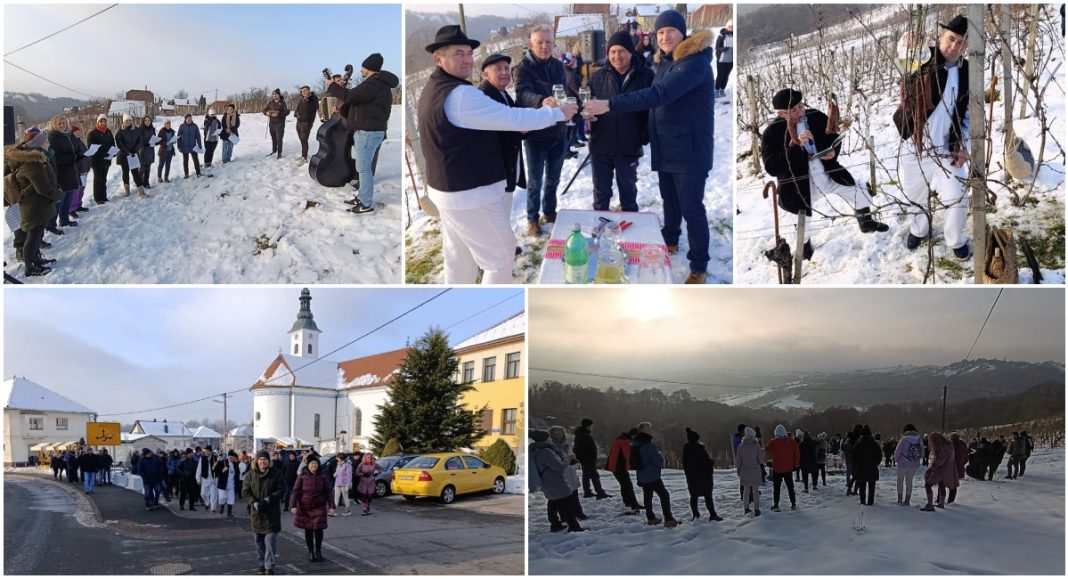 FOTO/VIDEO Ako za Vincekovo sunce peče, v lagvima vino teče BeFunky collage 2026 01 18T171118.171