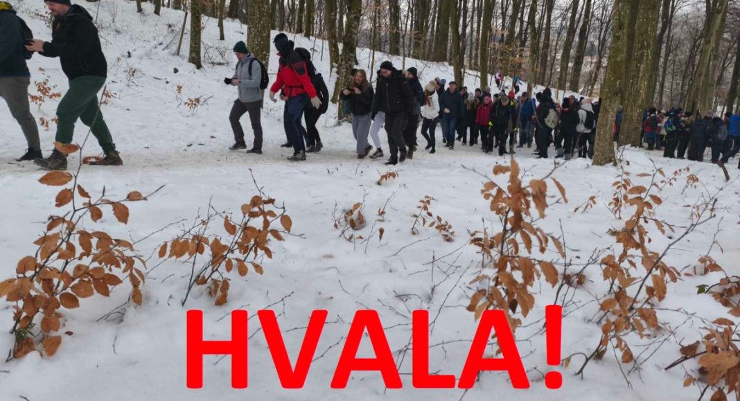 BeFunky collage 2026 01 19T143316.047