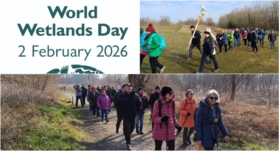 Hodnja uz Muru povodom Svjetskog dana močvarnih staništa u Sloveniji 1. veljače BeFunky collage 2026 01 20T153105.496