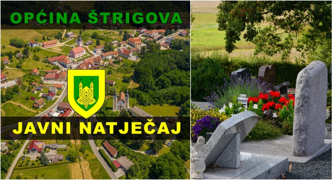 BeFunky collage 2026 01 22T111649.235