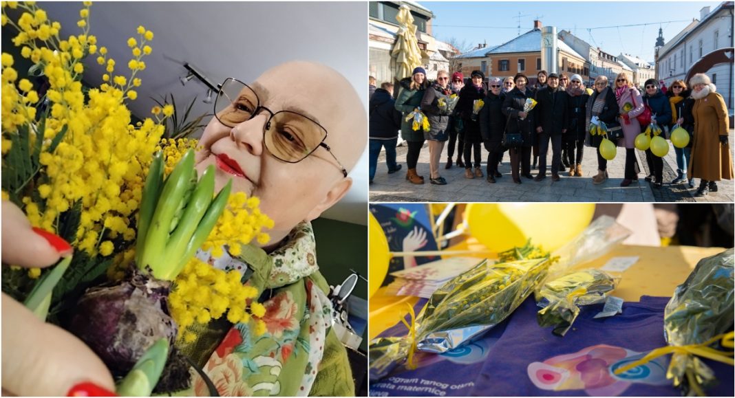 BeFunky collage 2026 01 23T104847.711