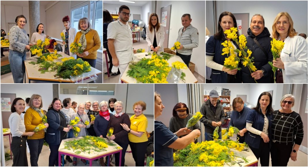 FOTO Pripreme za Dan mimoza okupile zdravstvene djelatnike, volontere i učenike u Čakovcu BeFunky collage 2026 01 23T130410.858