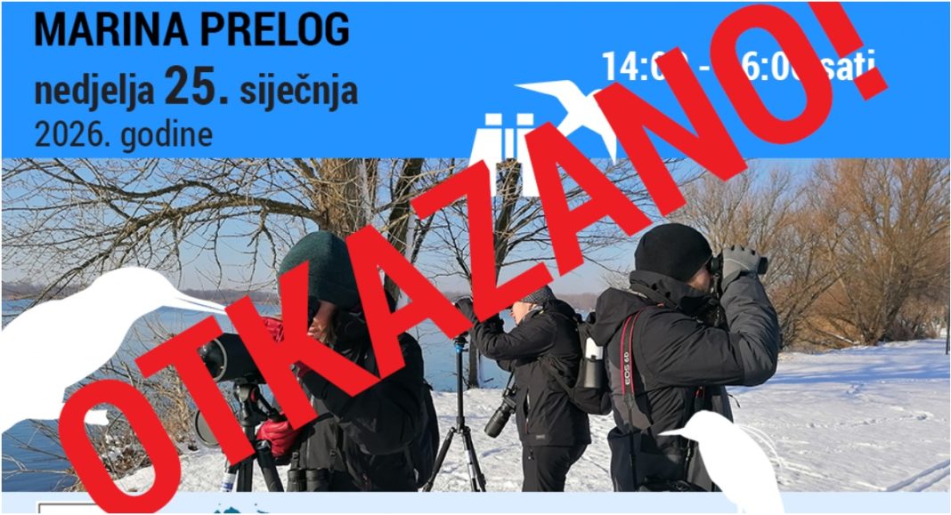 Nepovoljni vremenski uvjeti odgodili promatranje ptica u Prelogu BeFunky collage 2026 01 24T163453.779