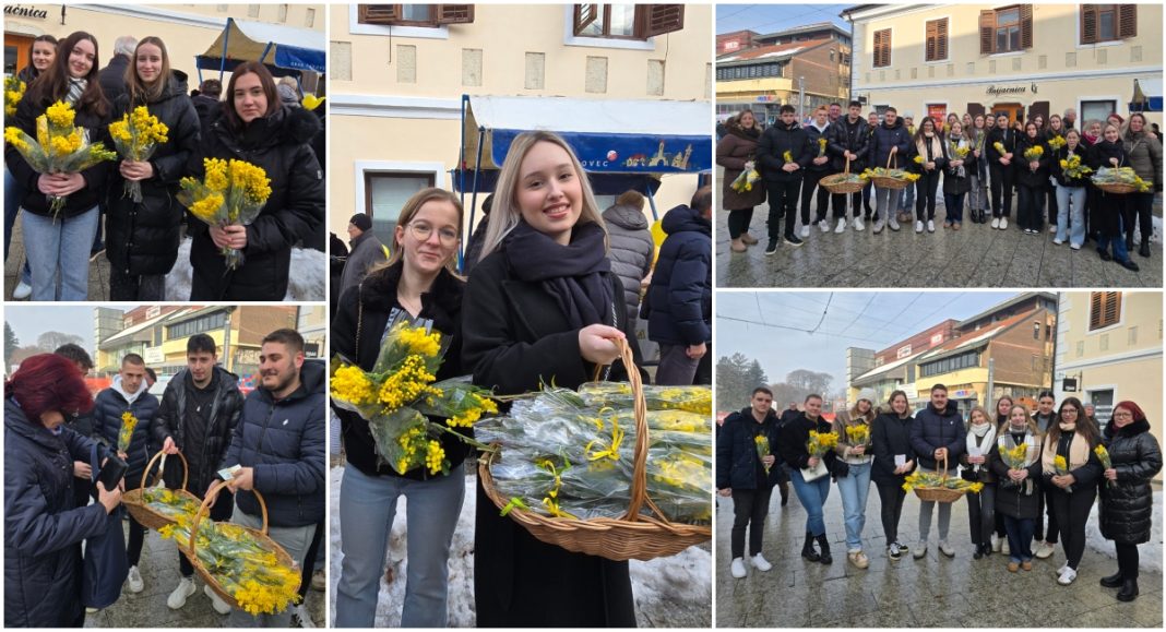 FOTO Budući zdravstveni djelatnici u službi humanosti BeFunky collage 2026 01 25T192730.212