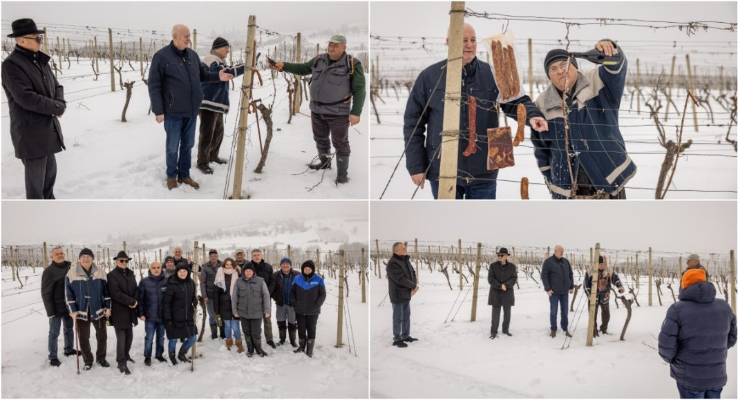 FOTO Vincekovo kao početak ciklusa: Vinarija St. Jerome nastavlja vinogradarsku tradiciju BeFunky collage 2026 01 26T142836.440