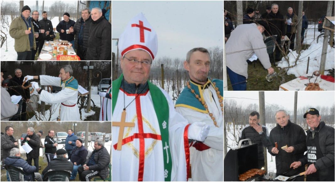 FOTO Uz običaje, pjesmu i vino obilježeno “Vincekovo v Dobravi” BeFunky collage 2026 01 27T120055.443