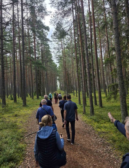 BeFunky collage 2026 01 27T185225.047