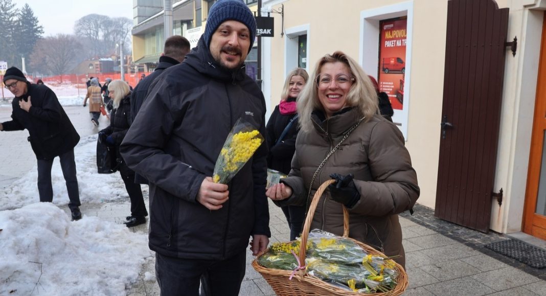 BeFunky collage 2026 01 27T225910.082