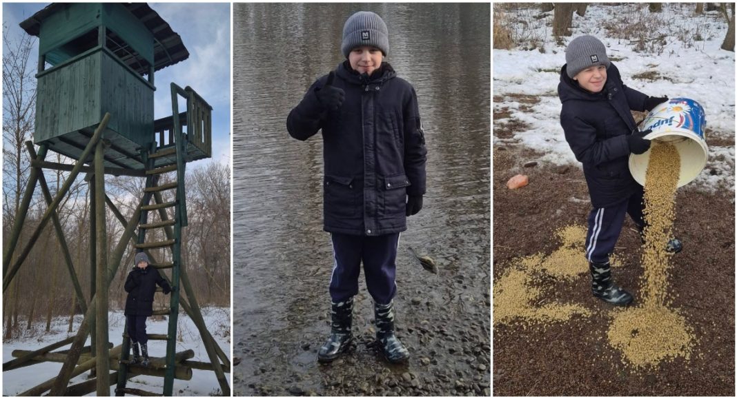 BeFunky collage 2026 01 27T232718.374