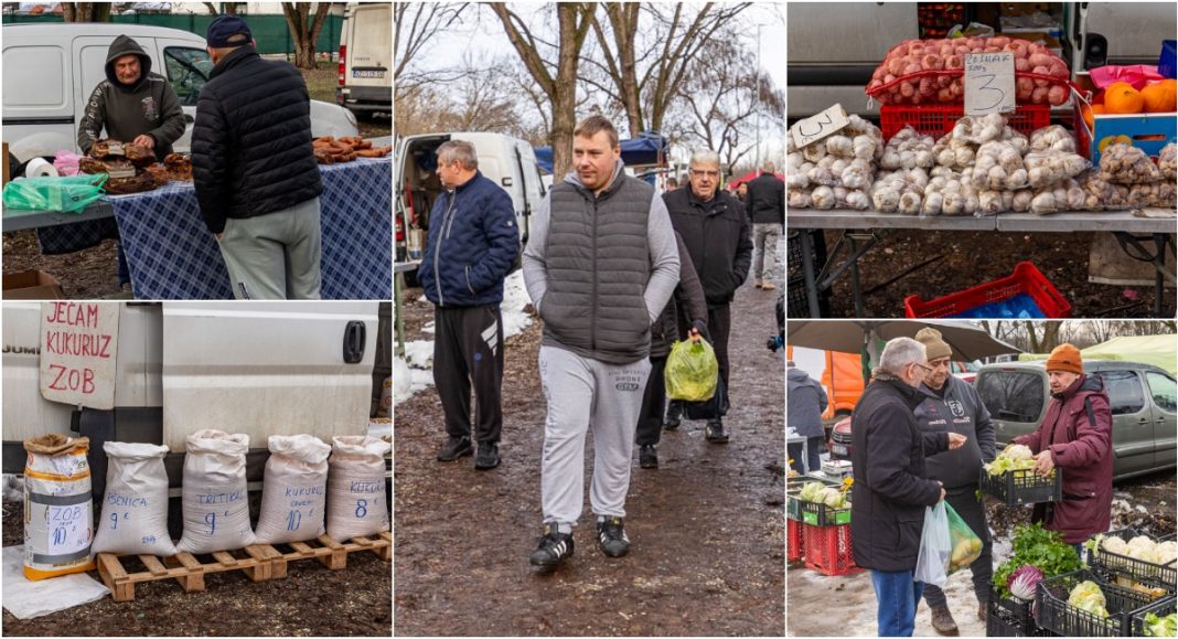 BeFunky collage 2026 01 28T125322.101