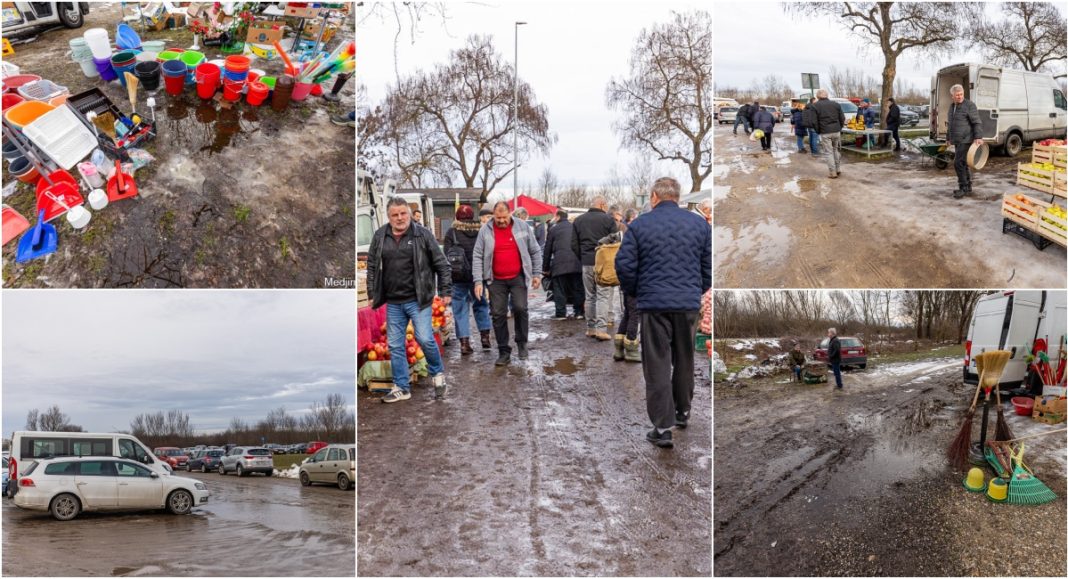 BeFunky collage 2026 01 28T161905.686