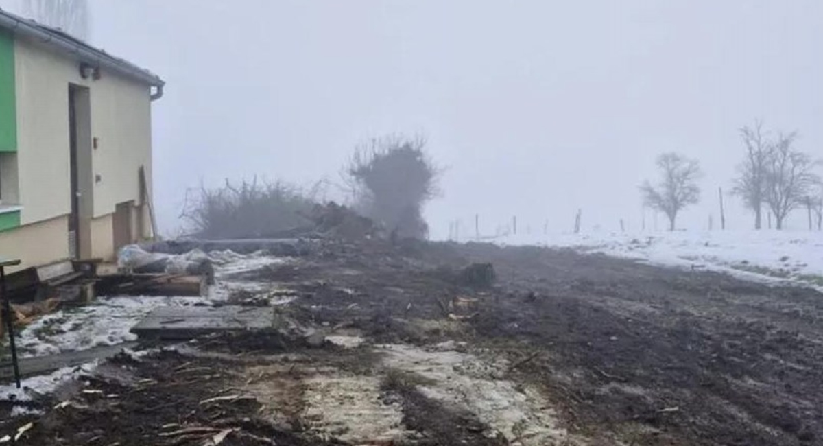 BeFunky collage 2026 01 29T090008.530