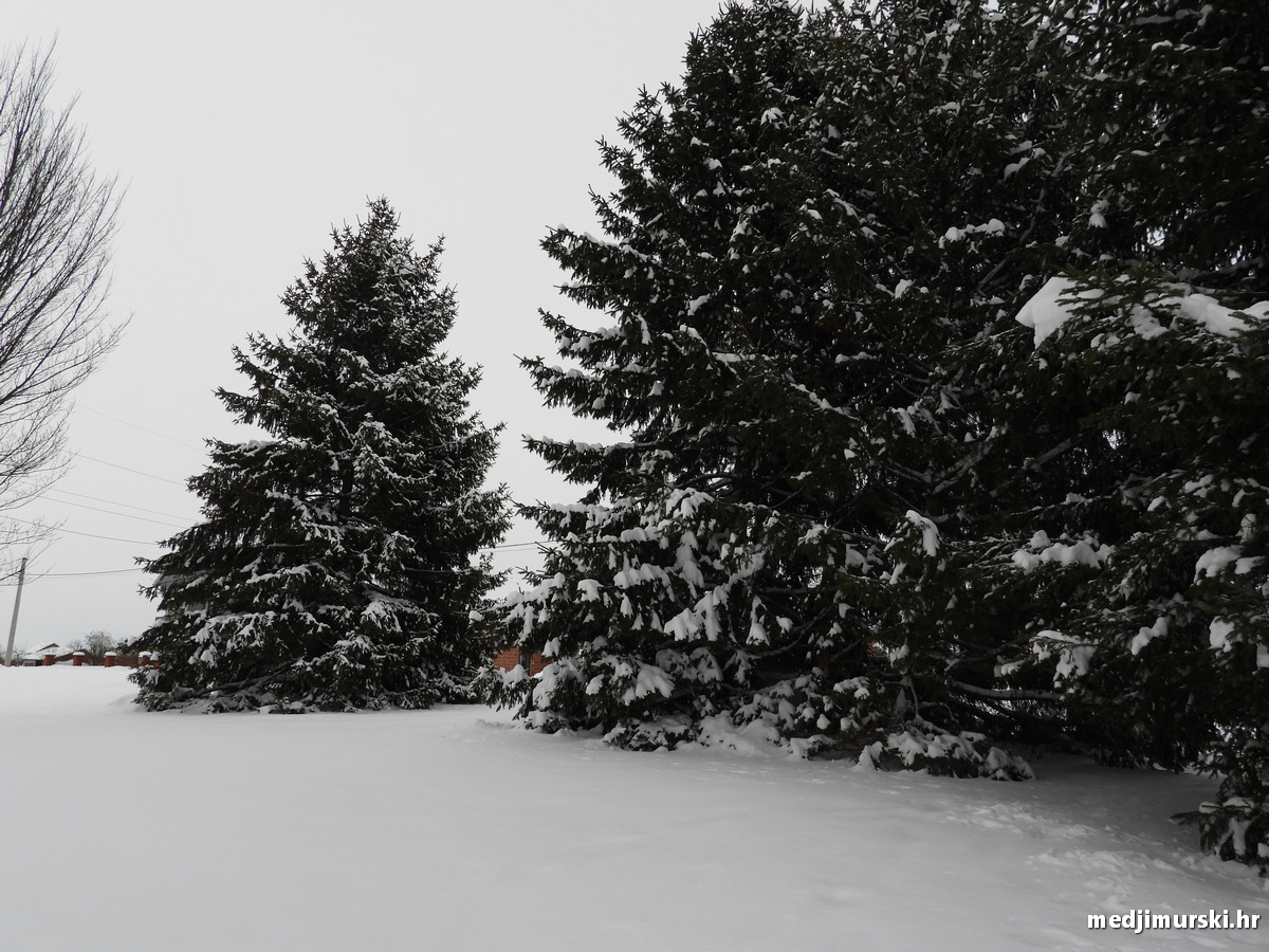 Jezero Mičigen (14)