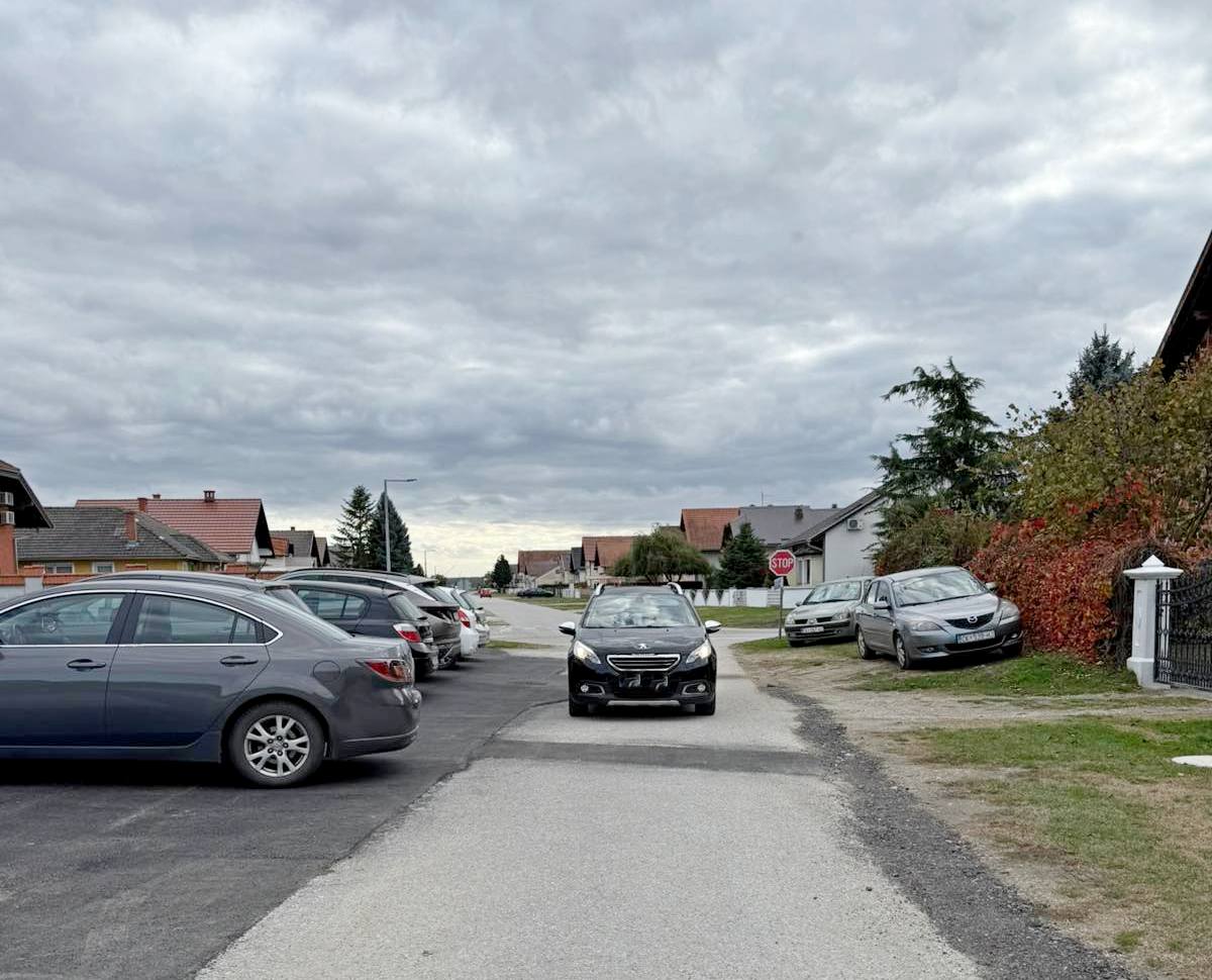 Nezadovoljni stanari Jug I (12)