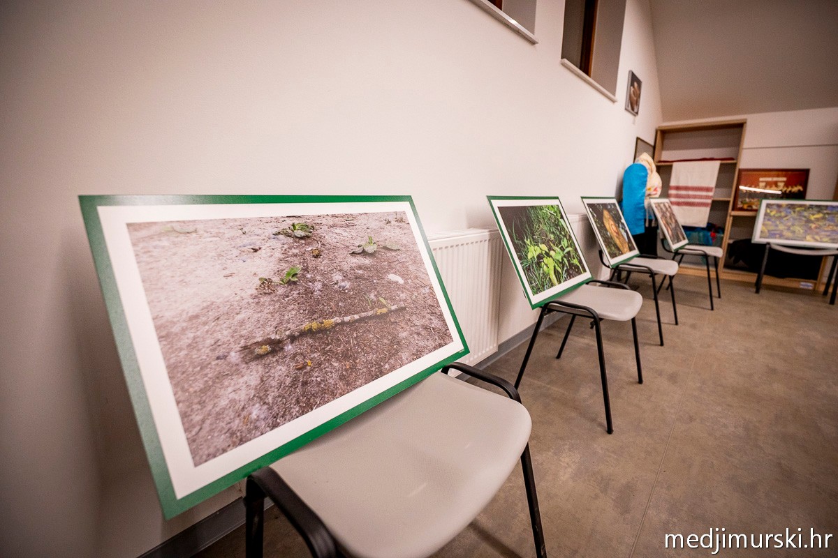 Noć muzeja Goričan2026 (7)