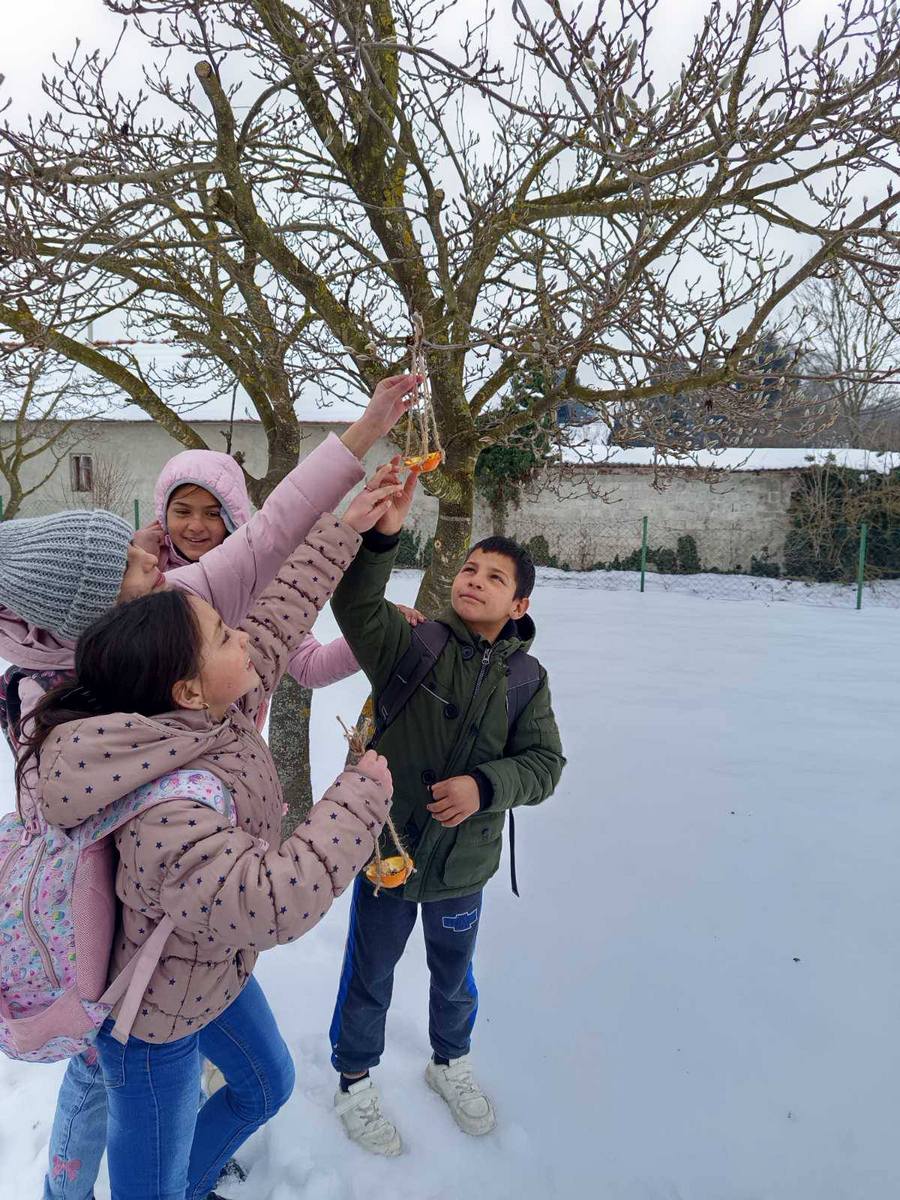 PŠ Držimurec Strelec (1)