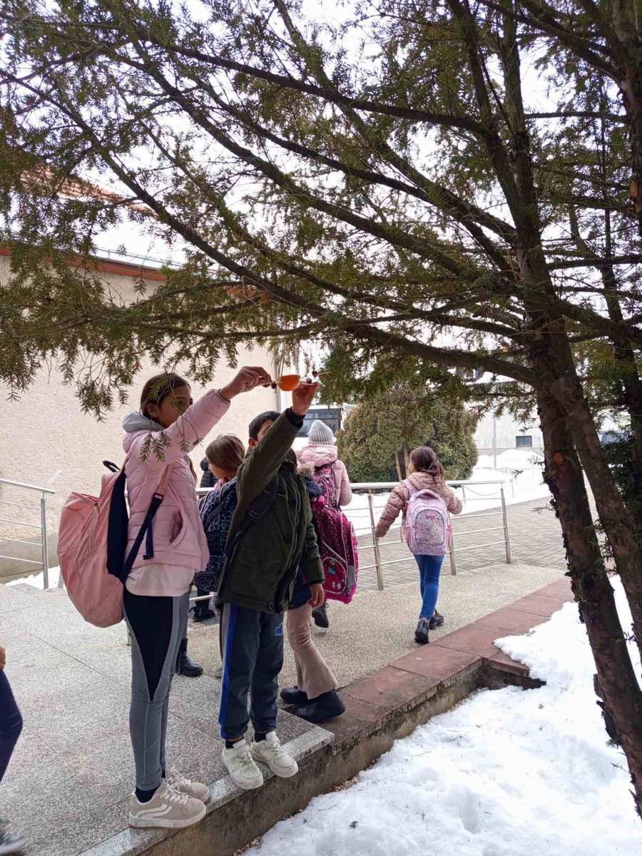 PŠ Držimurec Strelec (2)