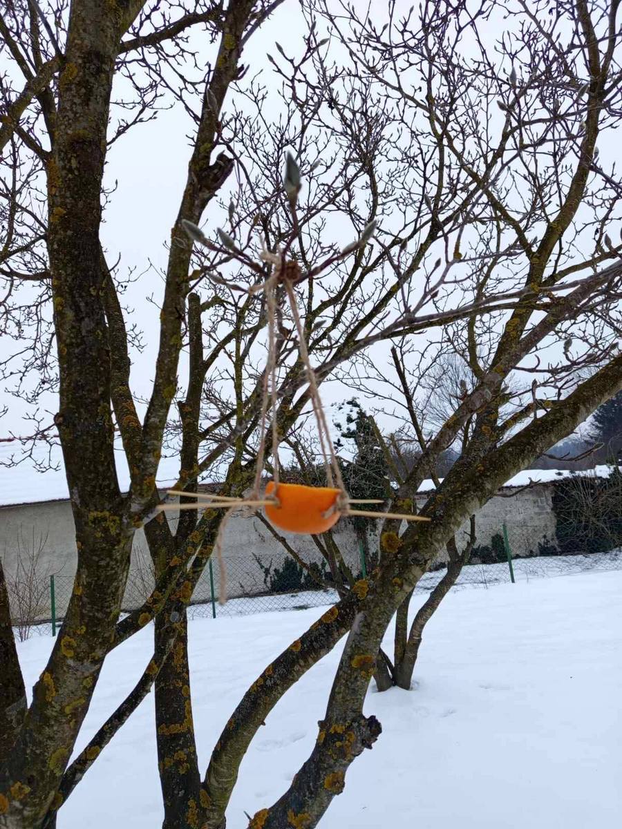 PŠ Držimurec Strelec (8)