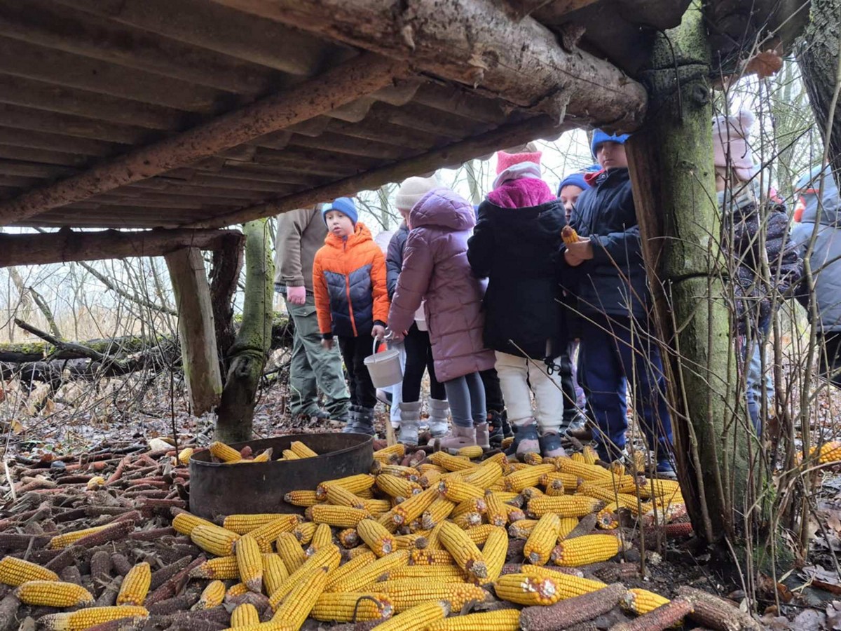 Posjet lovcima DVD Patka (10)