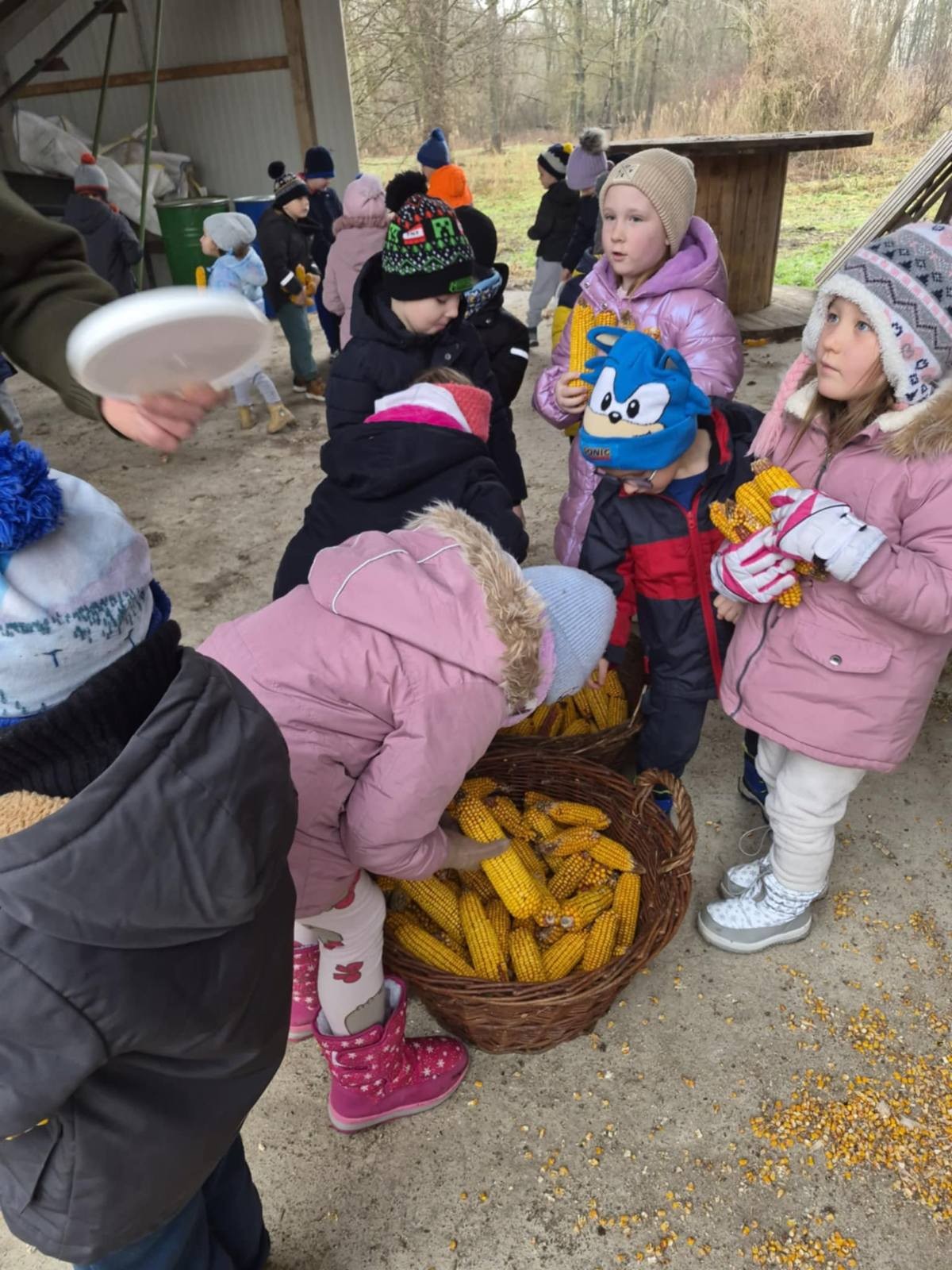 Posjet lovcima DVD Patka (5)