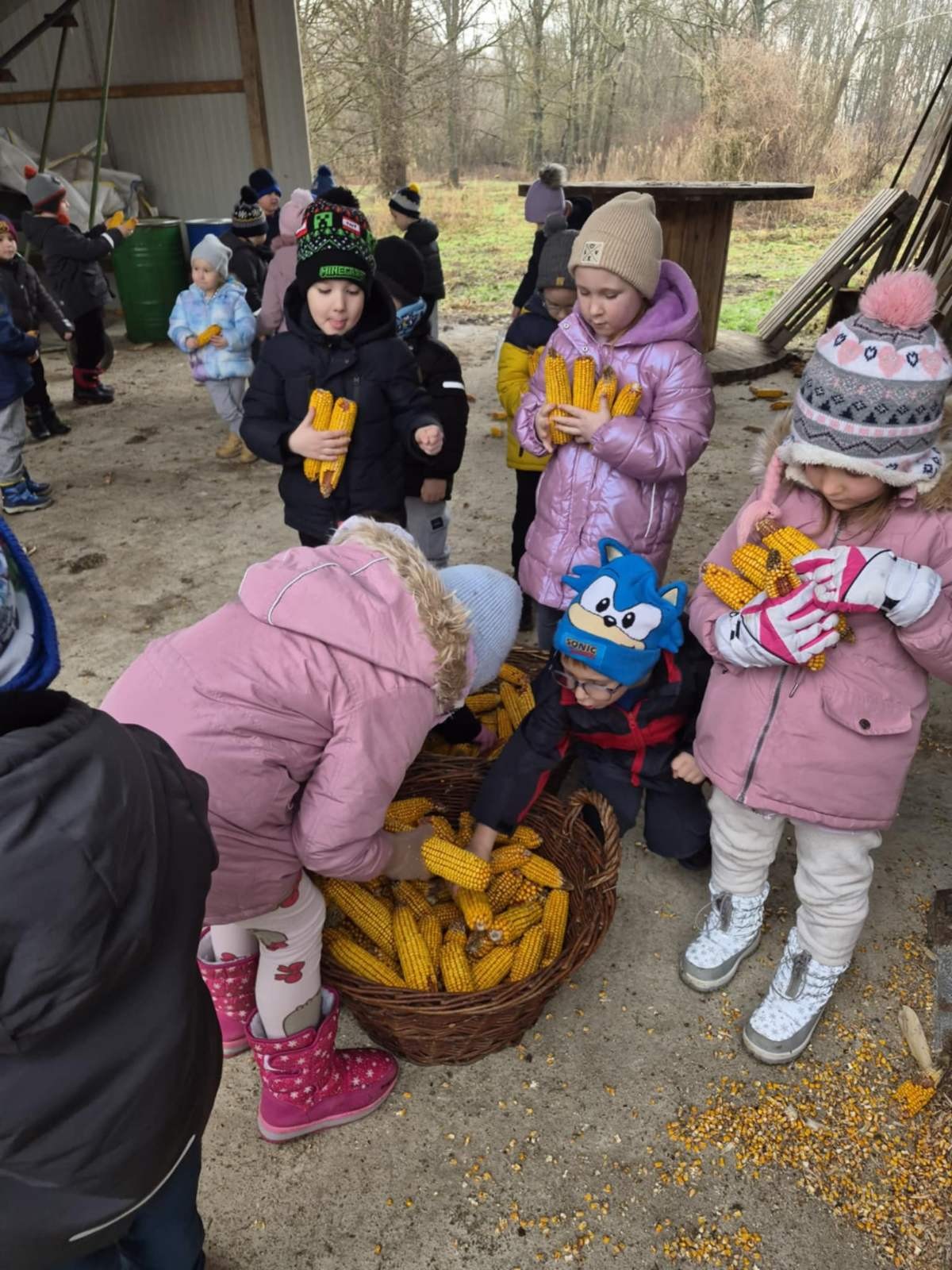 Posjet lovcima DVD Patka (6)