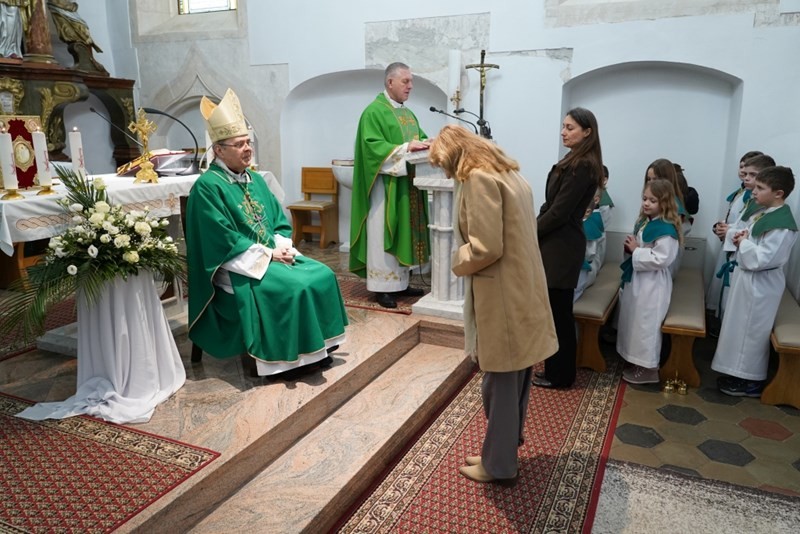 SMNM Lektori 25012025 (18).jfif