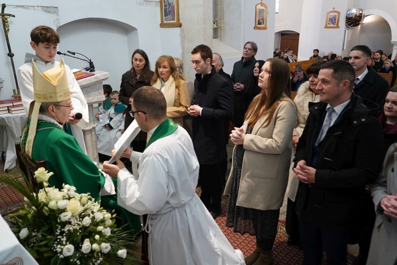 SMNM Lektori 25012025 (22) (1).jfif