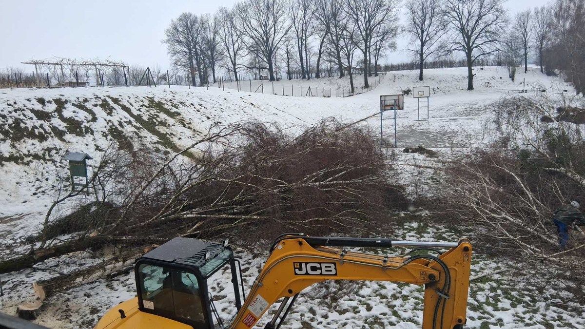 Sveti martin na muri