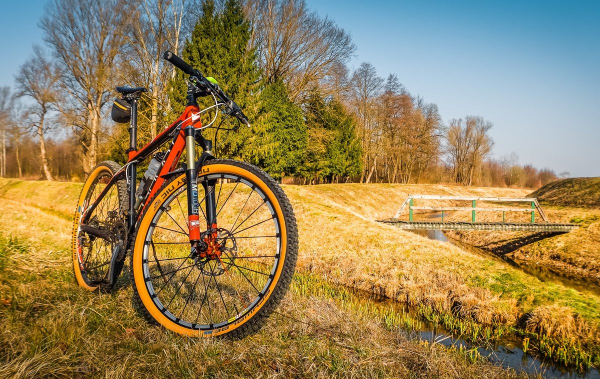 Tihomir Baranašić (8)