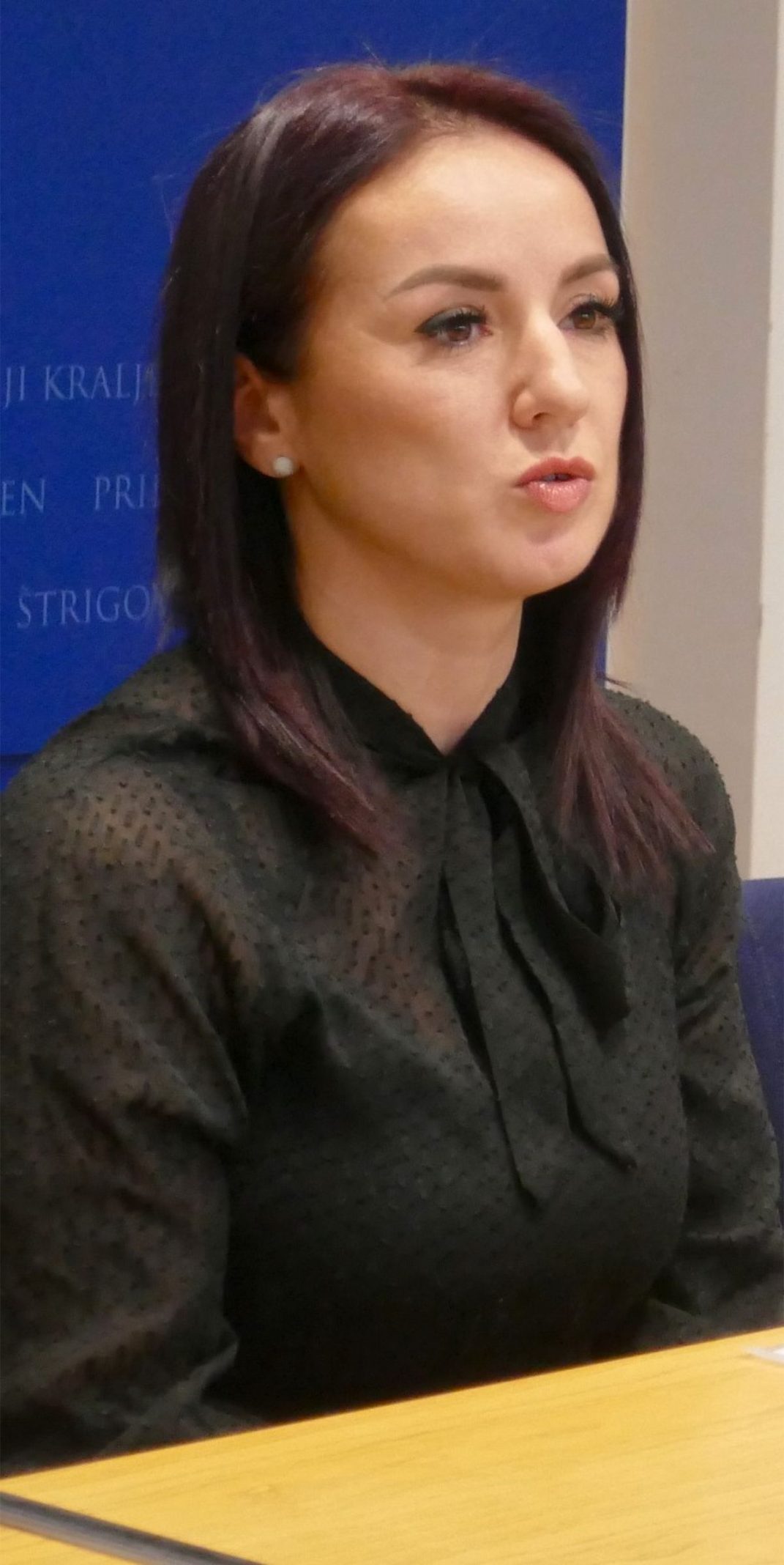 Valentina Cerovec P119081922