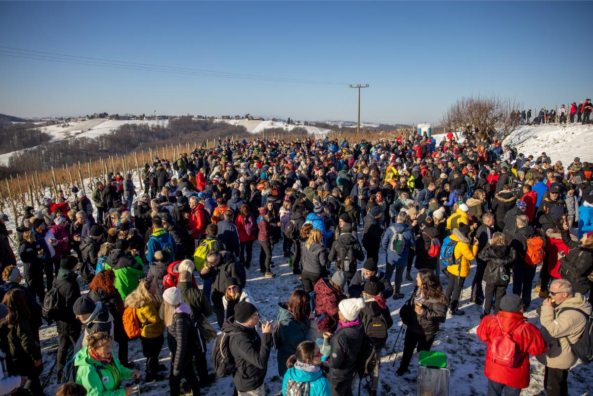 Vincekovo po strigovskim bregima