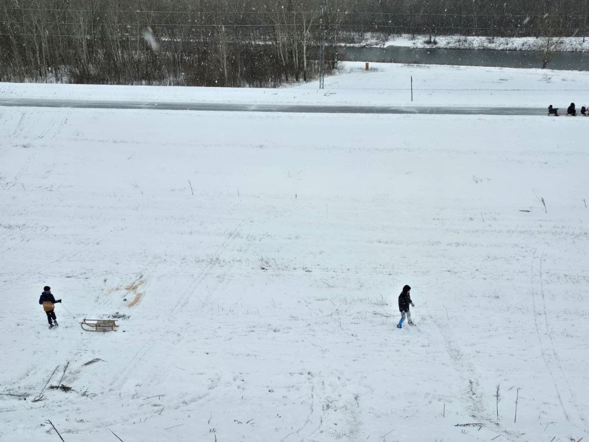 WhatsApp Image 2026 01 06 at 14.36.50 (7)