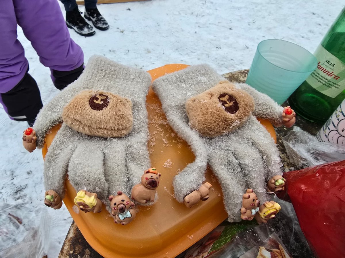 WhatsApp Image 2026 01 06 at 14.36.52 (2)