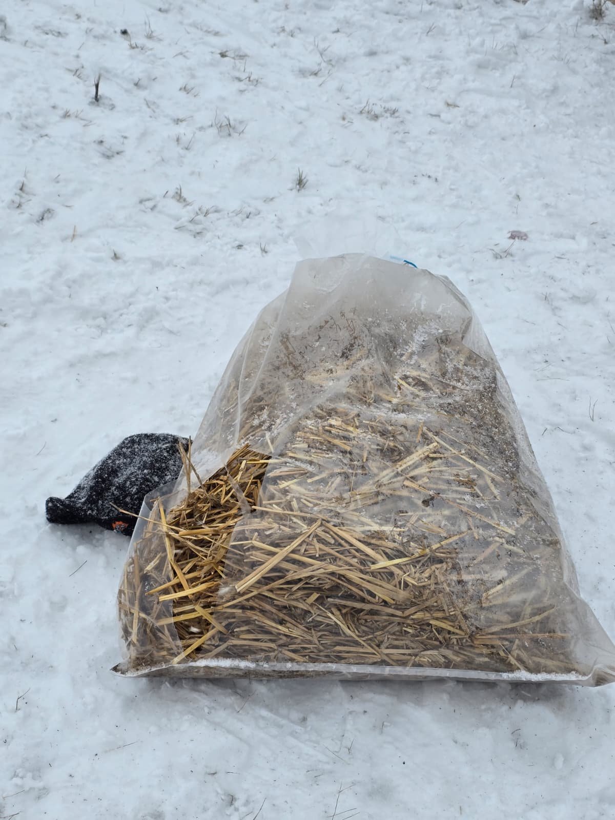 WhatsApp Image 2026 01 06 at 14.36.53