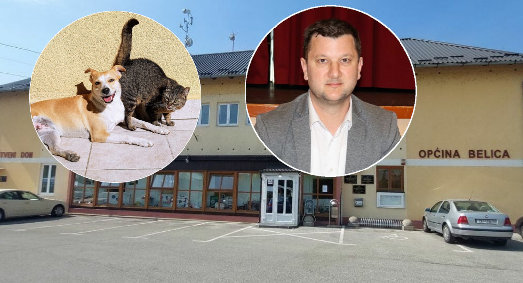 Belica opcina sterilizacija