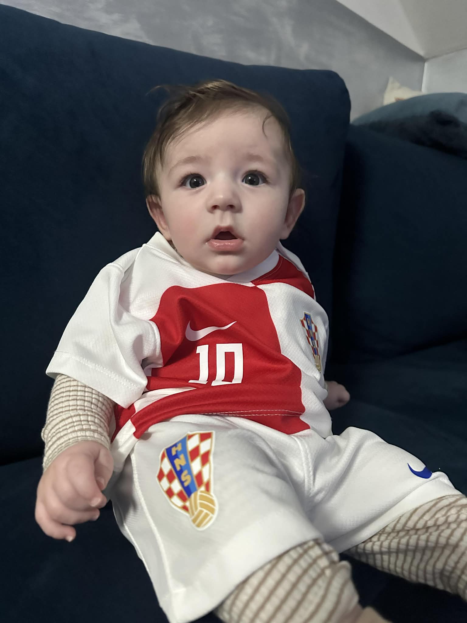 D6b3c5fd 39d9 4f1c ac31 420de4cf89cf