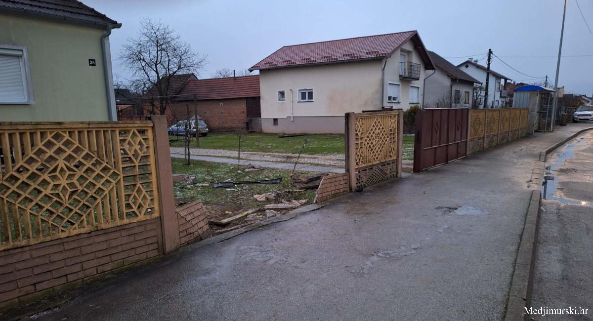 Palovec medjimurs (1)