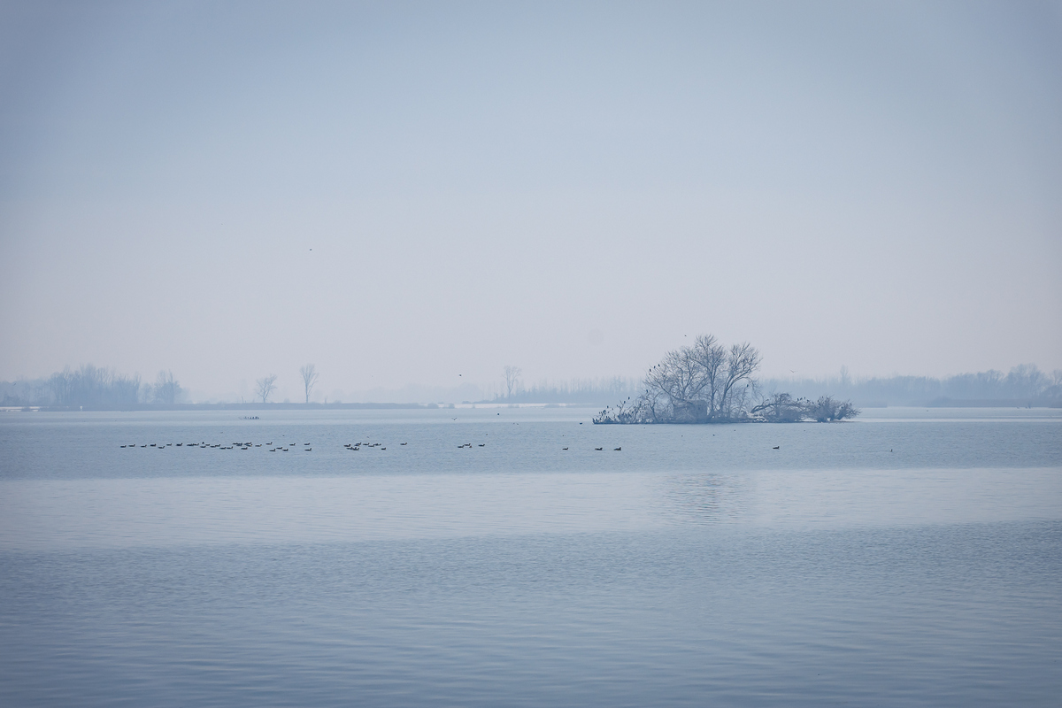 Polarna kros liga 8. kolo (4)