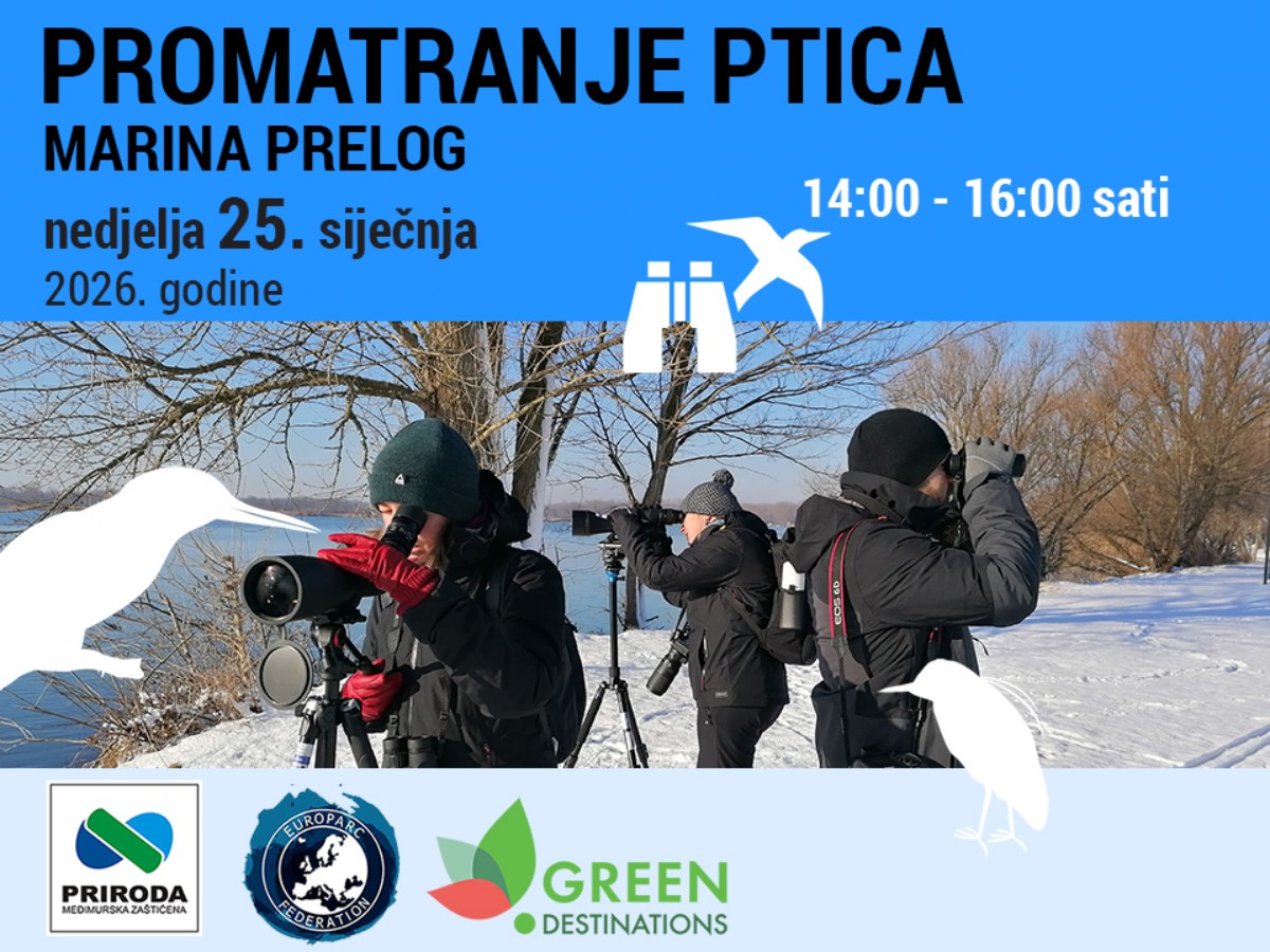 Promatranje ptica Marina Prelog