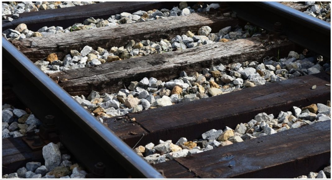 Horor uz prugu: Čak četiri psa stradala na relaciji Štefanec-Pribislavec Tračnice naslovna