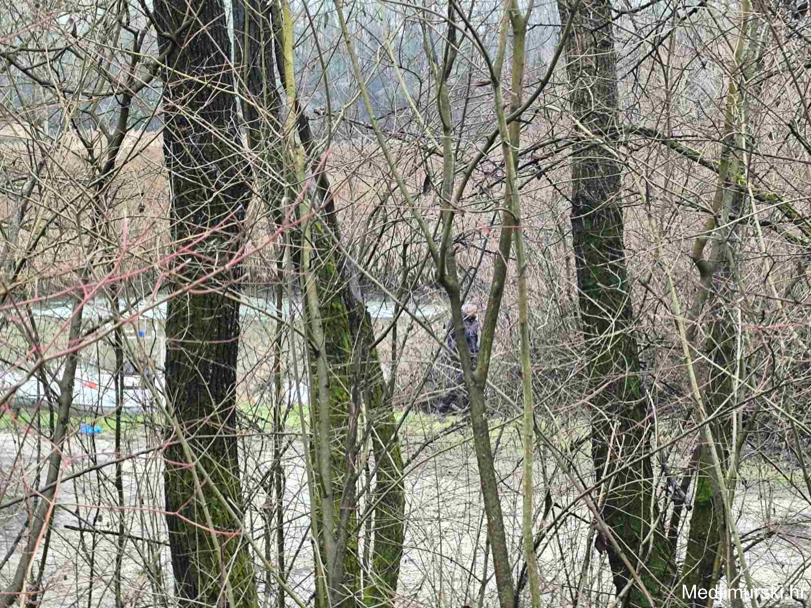 Viber slika 2026 01 03 10 25 37